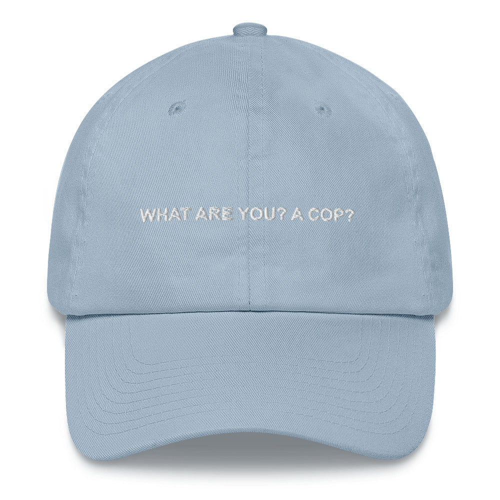 What are you? A cop? Dad Hat