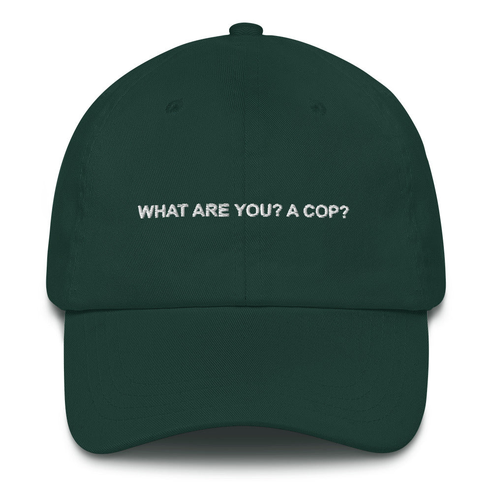 What are you? A cop? Dad Hat